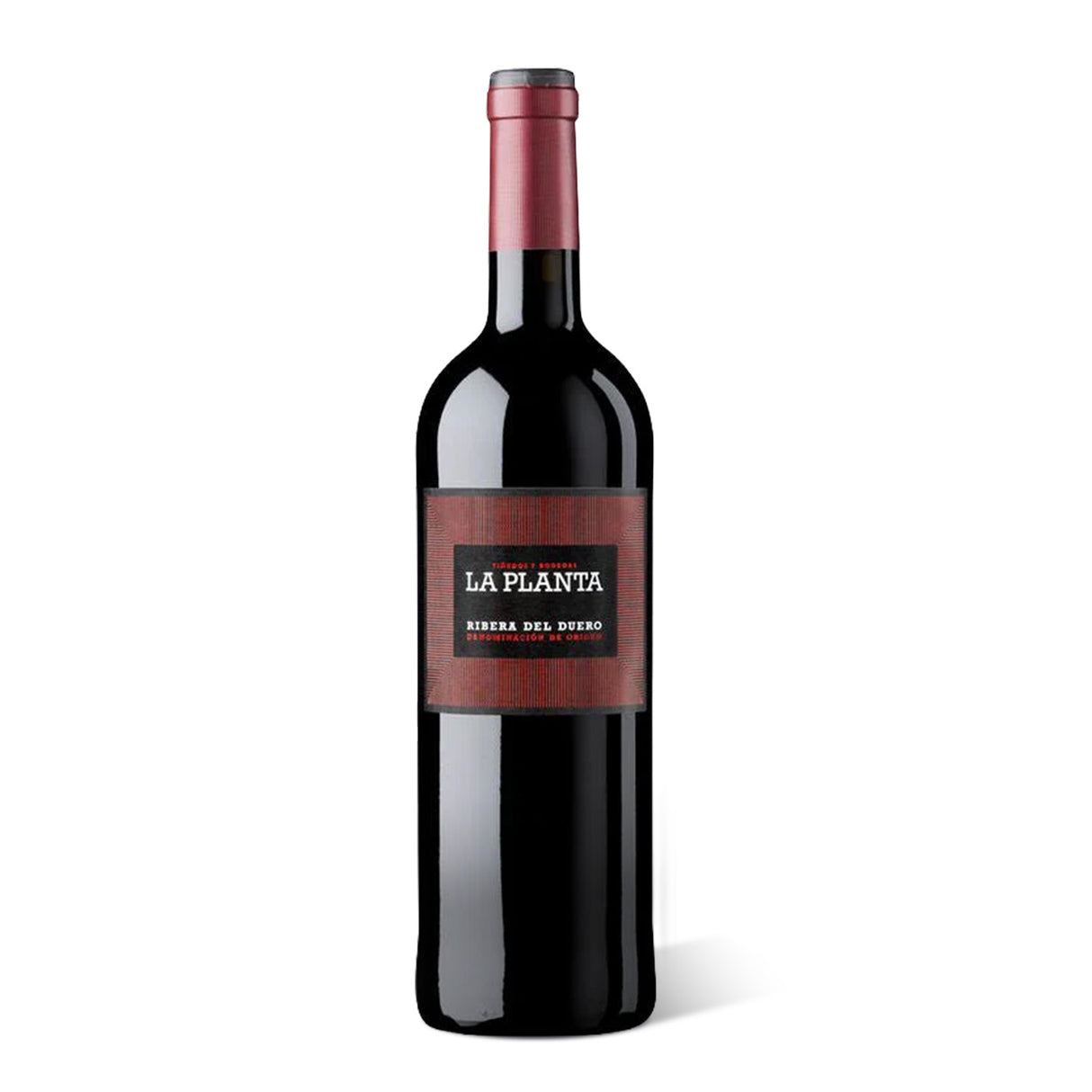 CLUB AMB BARRICA - NOVEMBER