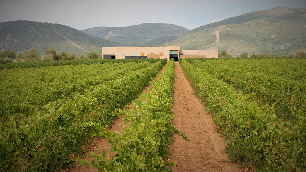 Bodega Pago de Vallegarcia