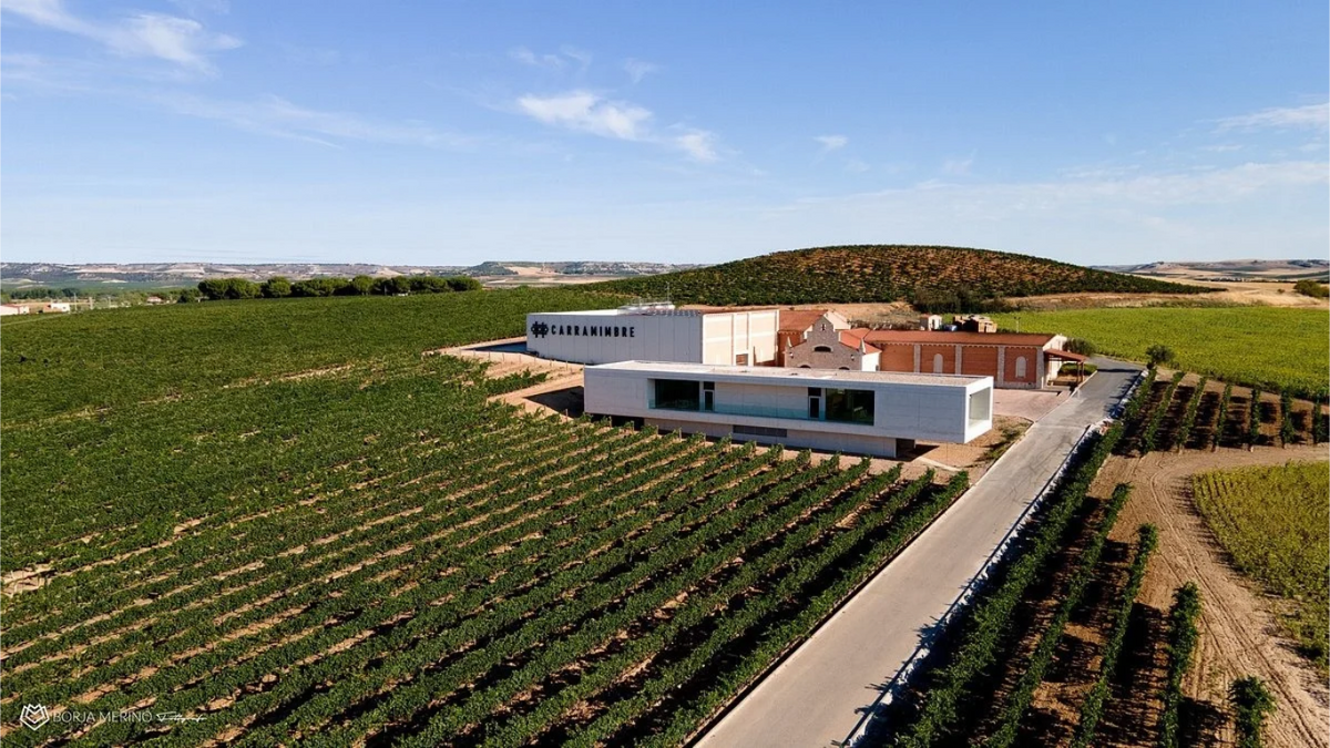 Bodegas Carramimbre