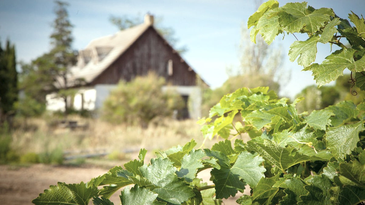 Bodegas Sanz