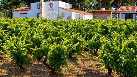 Bodegas Vatan