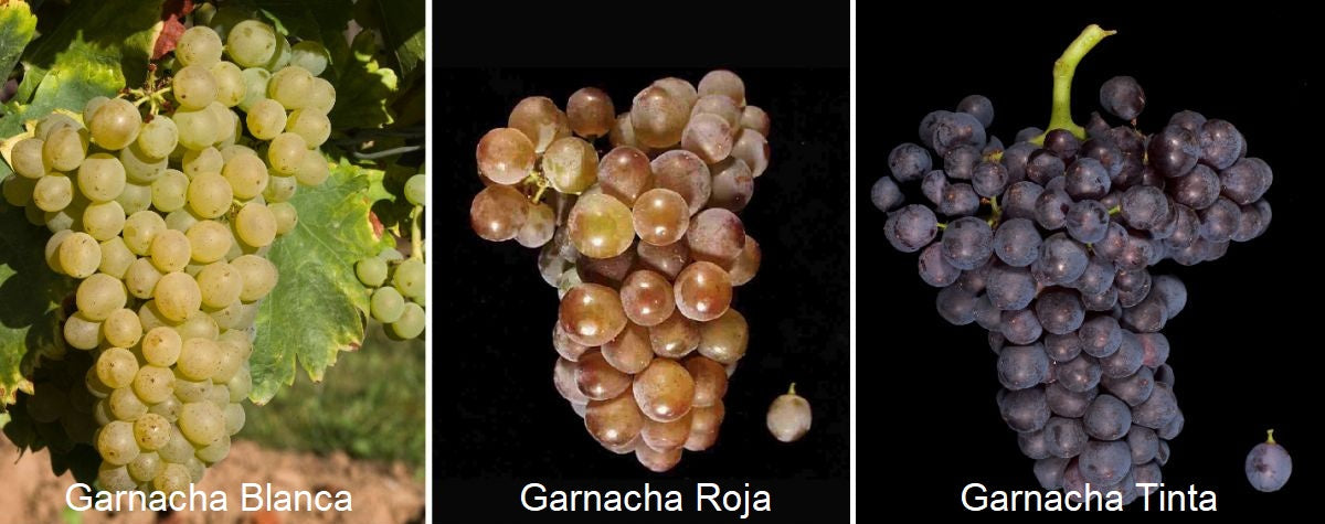 Grenacha