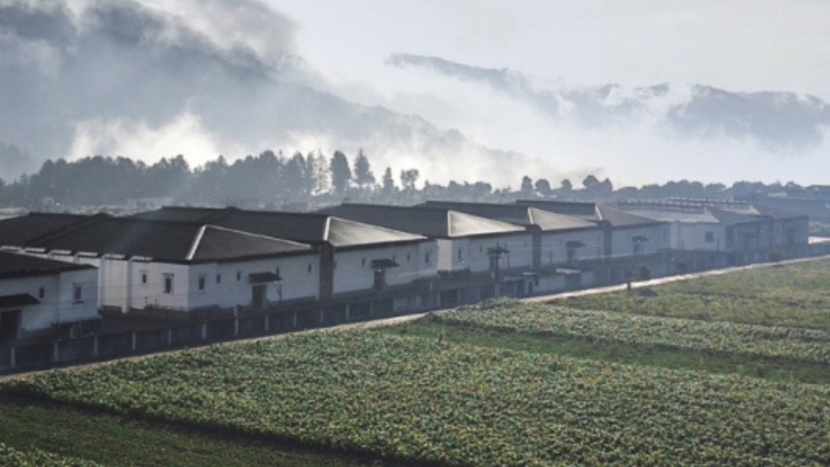Zacapa Distillery