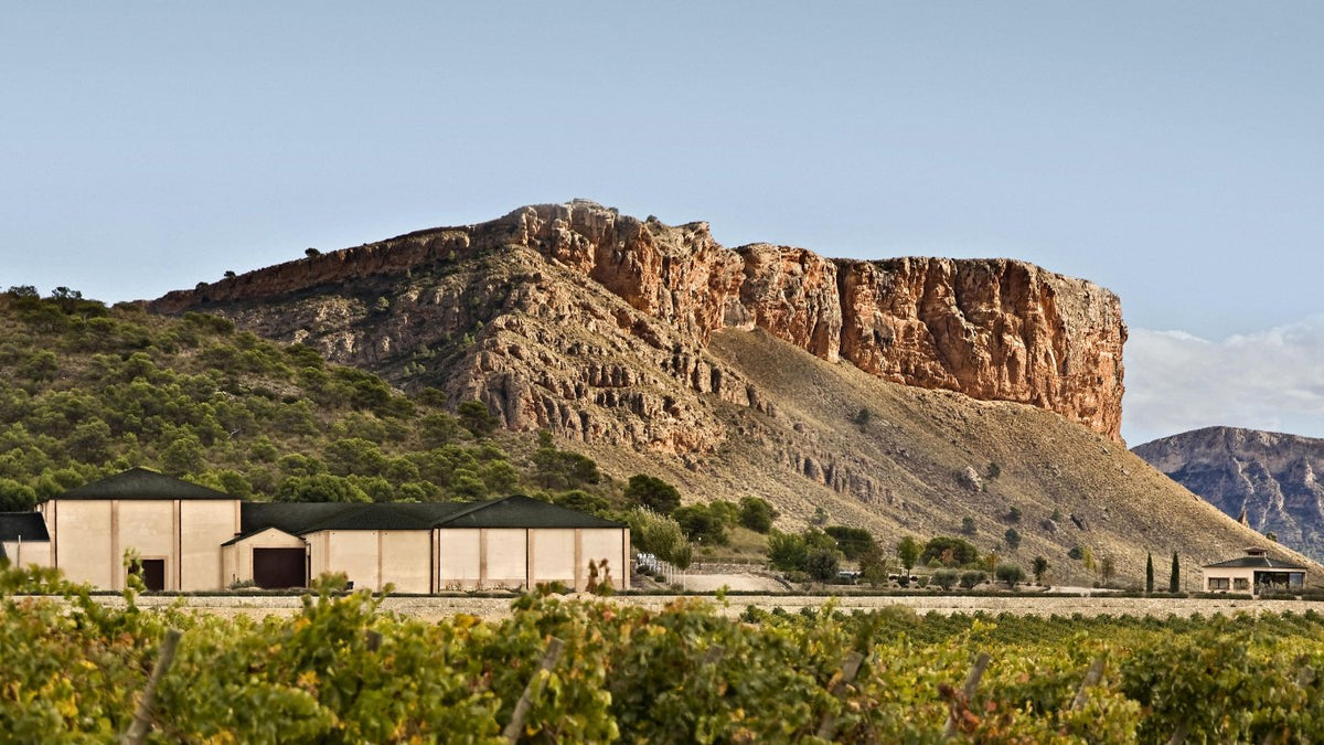 Bodegas Juan Gil