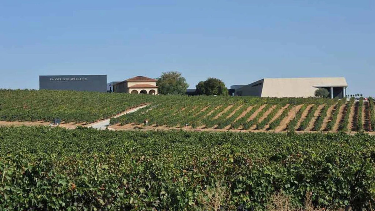 Bodega Pago de los Capellanes
