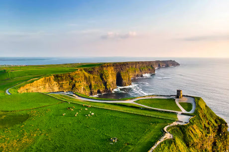 Irish