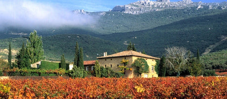 Bodegas Remelluri