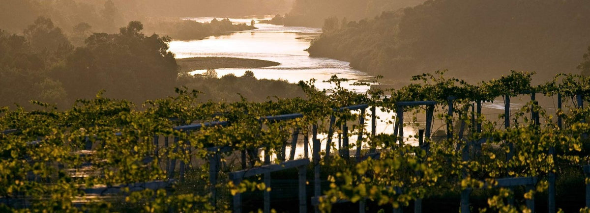 Vina Nora Winery