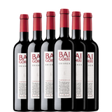 BAIGORRI Crianza 2022 x6 botellas