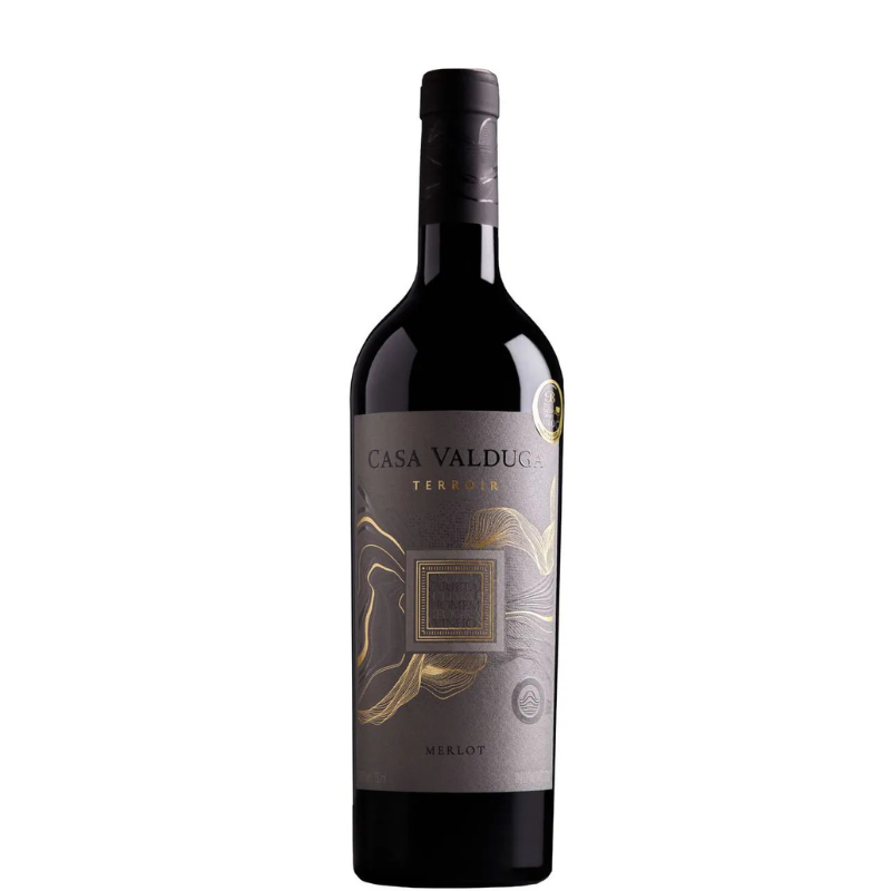 CASA VALDUGA Terroir Merlot 2020