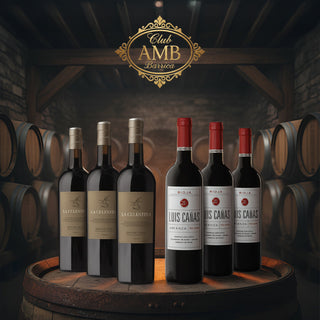 CLUB AMB BARRICA - FEBRERO