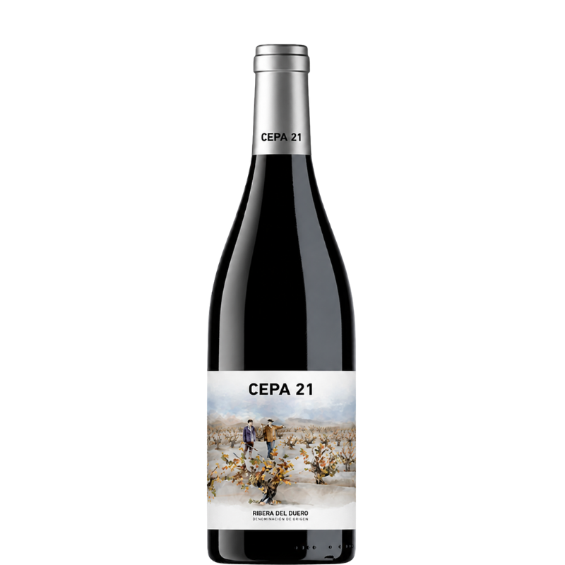CEPA 21 2022