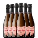 6 botellas de JUVE & CAMPS Reserva de la Familia ROSÉ