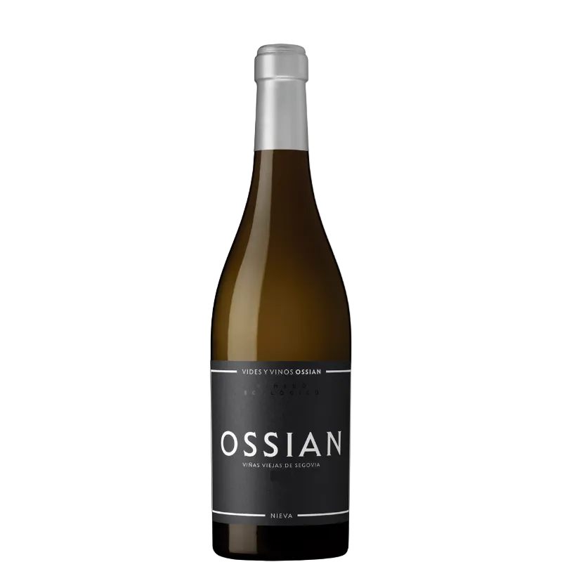 OSSIAN 2023