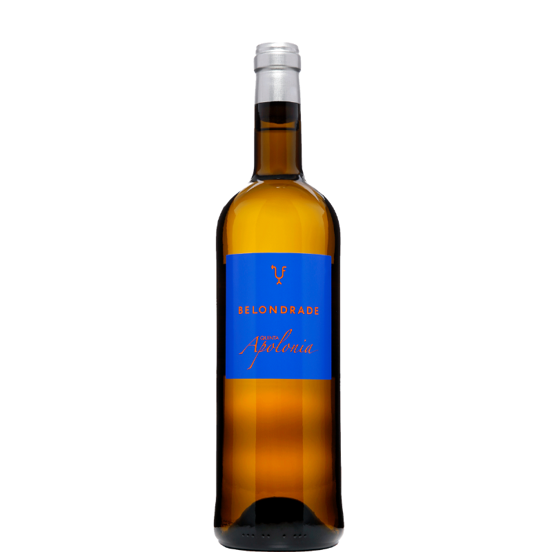 BELONDRADE QUINTA APOLONIA 2025