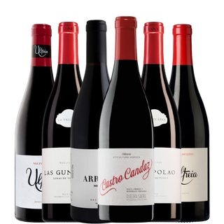Selección Tintos de  Raul Perez "El Mago del Vino" 6 botellas