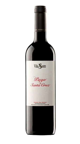 PAGO DE SANTA CRUZ viña sastre 2022